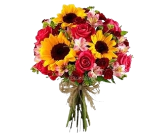 27-BUQUÊ SO ALEGRIA