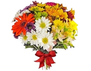 28-Buquê Pequeno de Flores do Campo