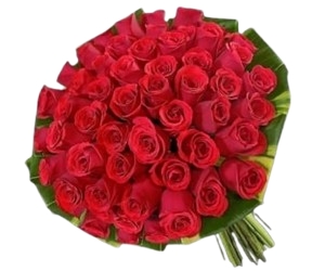 34-Buquê 50 Rosas Vermelhas